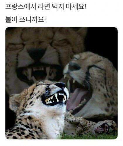 빵 터지는 수류탄 풍선 썸네일 3