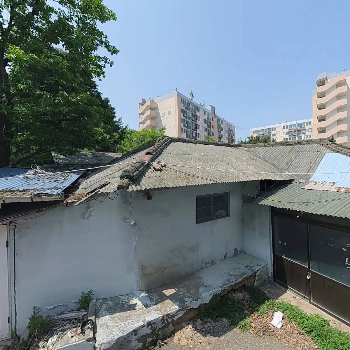 진들기름 썸네일 3