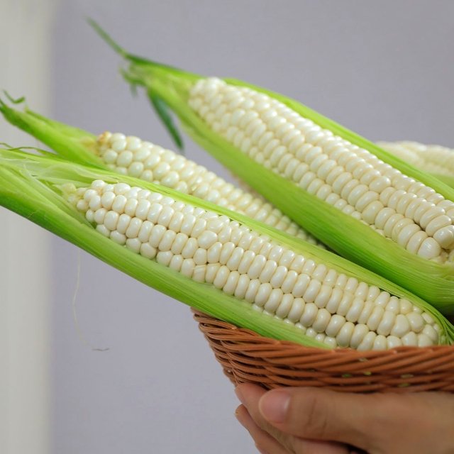 사계대학찰옥수수 300g 10개입 썸네일 3