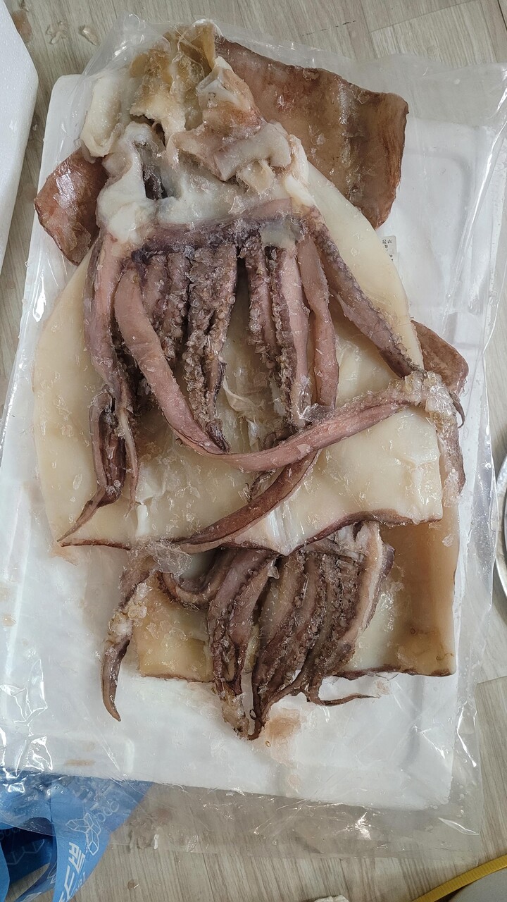 손질오징어(5KG) 썸네일 2