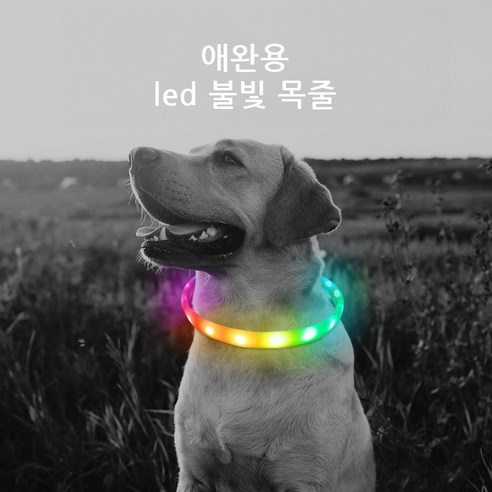 불빛 레인보우 썸네일 2