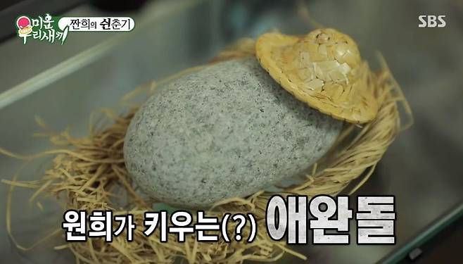 반려돌 썸네일 2