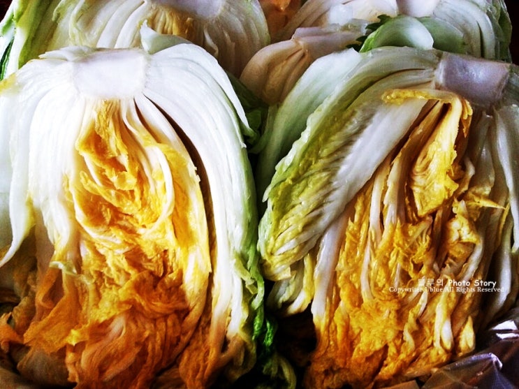 해남배추㈜ 해남참 백김치 5000G x 1EA 썸네일 3