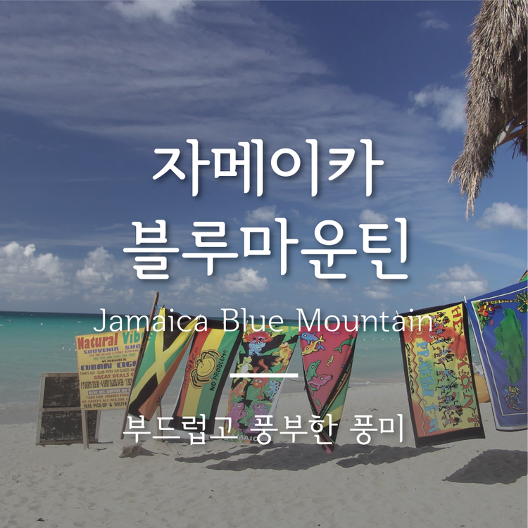 제이앤커피 자마이카블루마운틴브랜드 200G 썸네일 2