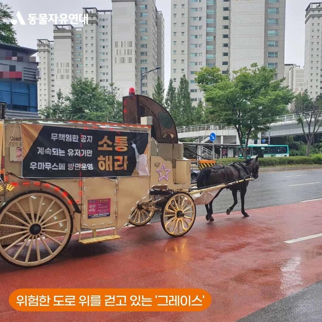 KFT 마차 썸네일 2