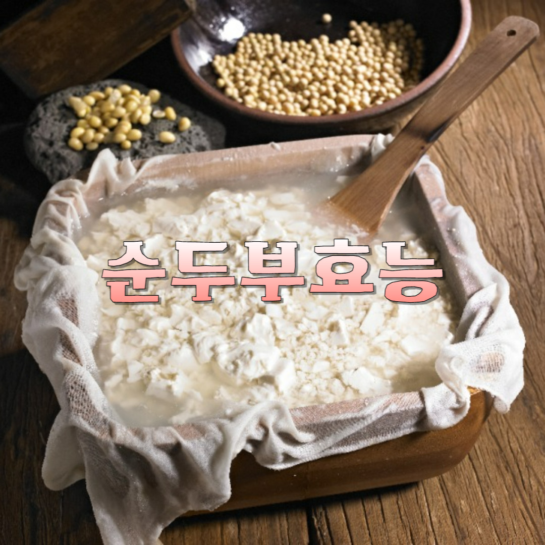 순두부 썸네일 2