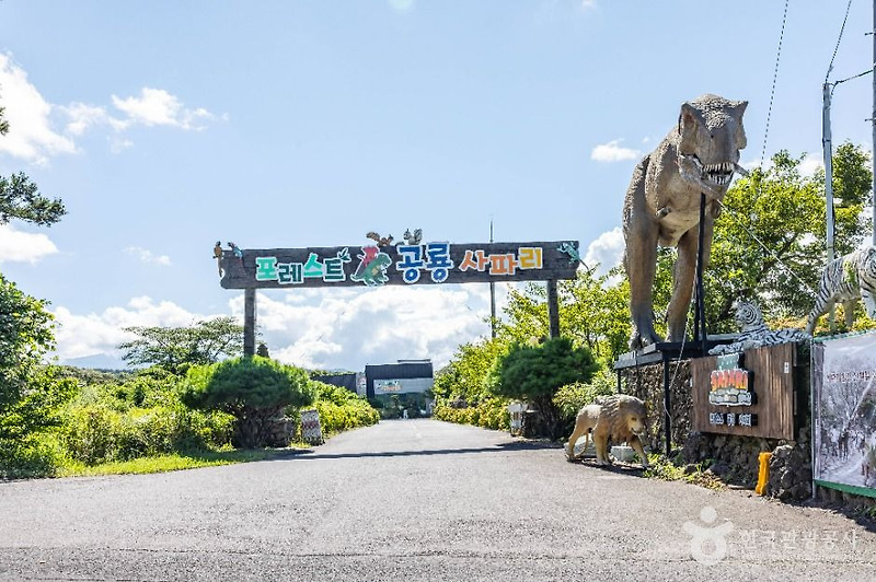 공룡사파리/대 썸네일 3