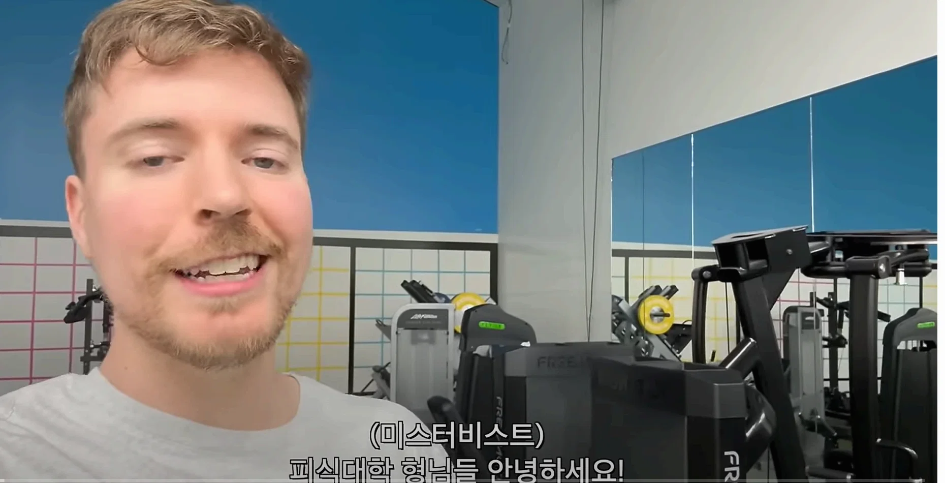 미스터비스트 디츠너츠 썸네일 2