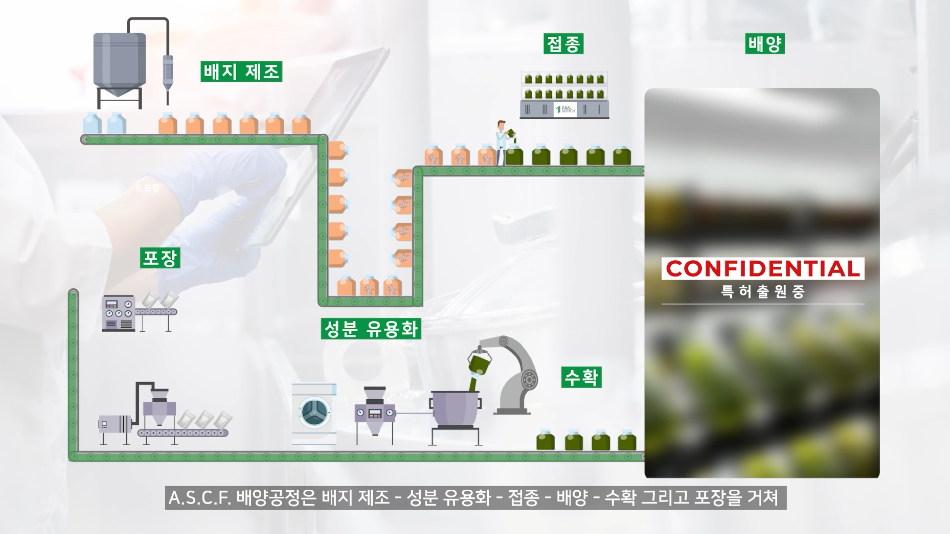화웅초 썸네일 3