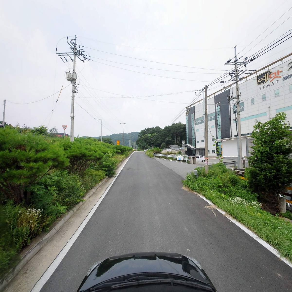 재래김100ST 썸네일 3