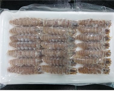 냉동문어10KG 썸네일 2