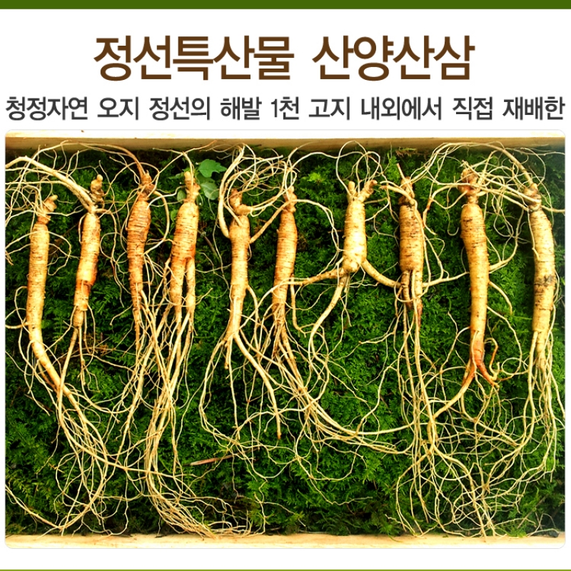정선아리아리원 도라지배진액 90ml 60팩 썸네일 3