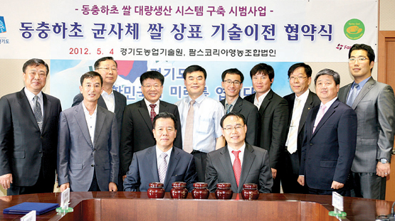 동충하초 균사체 쌀 - 1Kg 썸네일 2