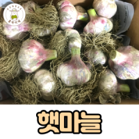 통마늘 2kg 썸네일 3