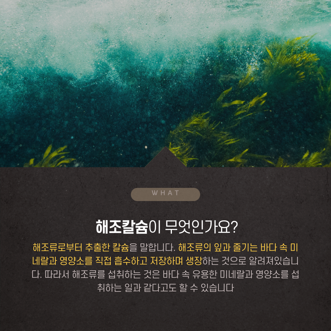한국씨엔에스팜 마미아이 천연식물성 해조칼슘 임신&수유부용(ORGANIC CALCIUM SEAWEED VitaminD3&Folic acid) 2.5g*30포 썸네일 2