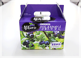 한국농축산영농조합 현대메디팜 블루베리 플러스 80G x 30EA 썸네일 2
