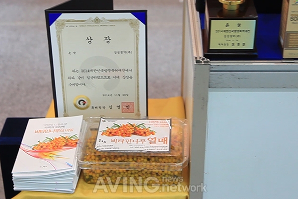삼성생약 하늘뫼 비타민나무잎차(티백) 1.2g 150개 썸네일 2