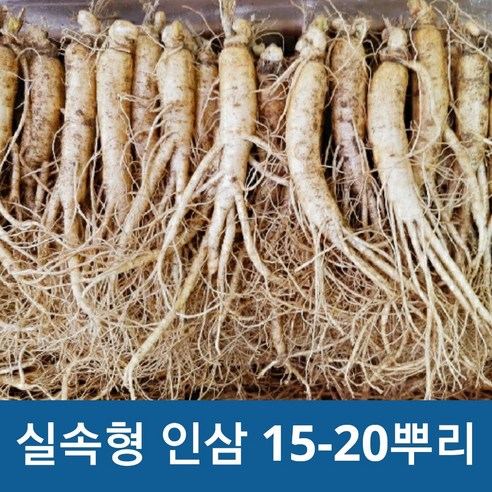 고려인삼정과300g(10뿌리) 썸네일 3