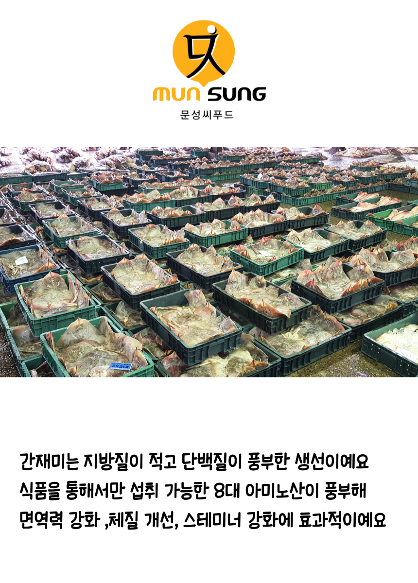 고래섬열빙어30미 썸네일 2