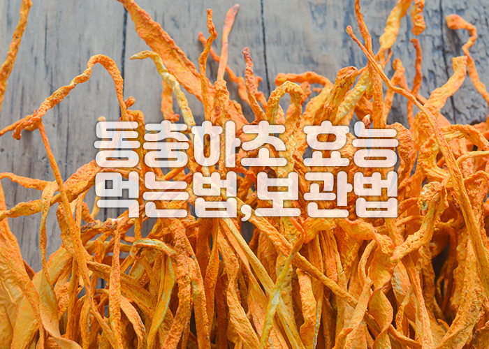 진홍삼 동충하초 720ml 썸네일 3