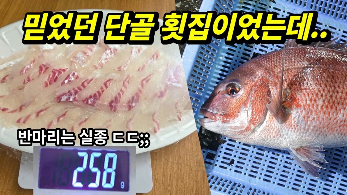 오션에프앤비우리바다싱싱참돔1미 썸네일 3
