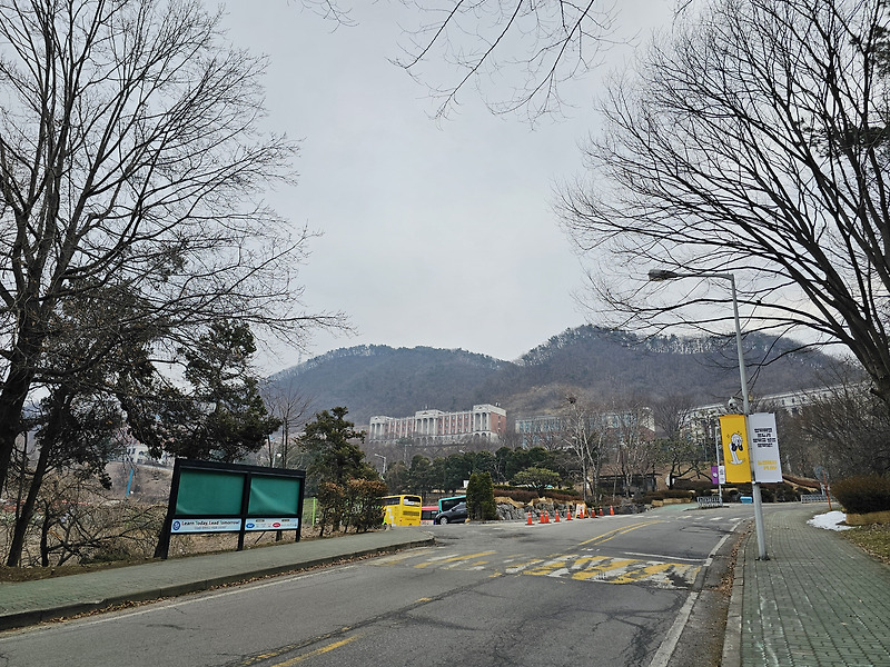 산수유마을 썸네일 3