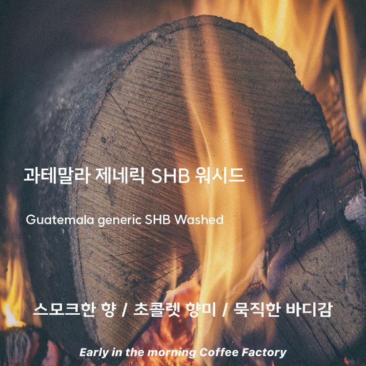 한국맥널티(주) 오리진 과테말라 라 델라시아 SHB 200G 썸네일 2