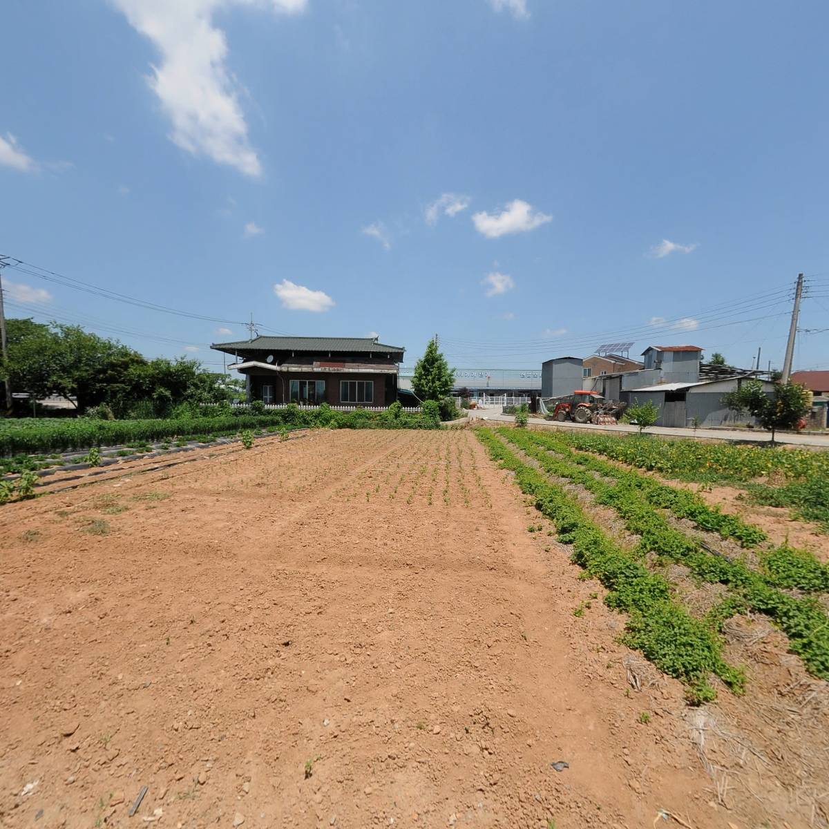 상상팜랜드(주) 상상팜랜드(주) 상상력 누에환 썸네일 2