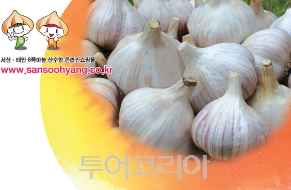 산수향(서산.태안6쪽) 다진마늘 500g 썸네일 2