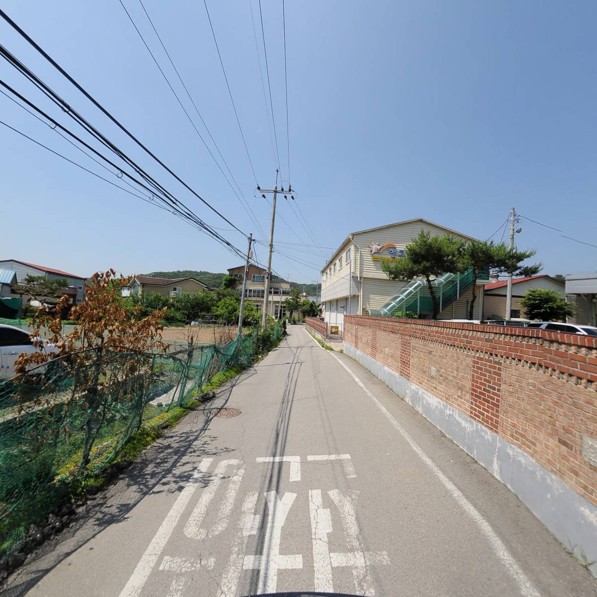야채모듬지(정동) 썸네일 3
