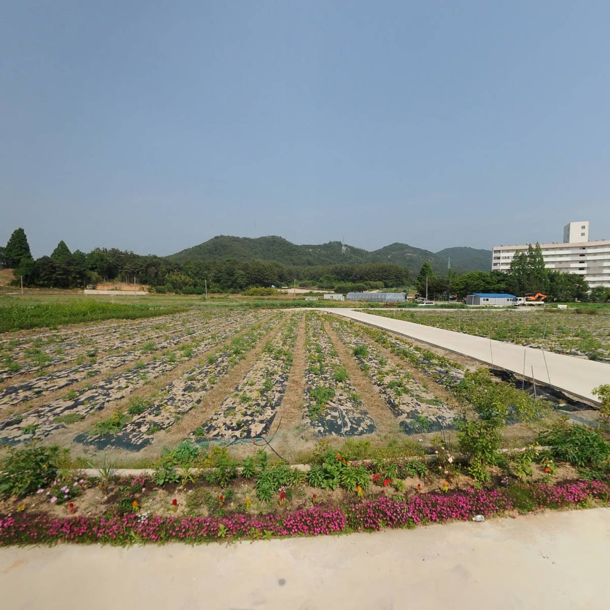 자연을 빚은해빛찬고추가루 썸네일 3