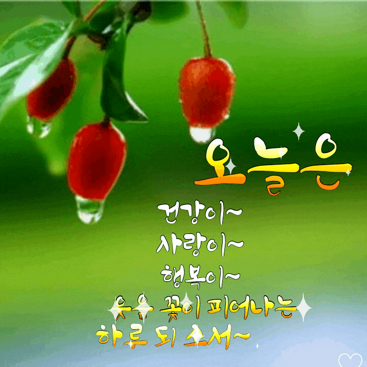 대영 유과셋트 썸네일 3