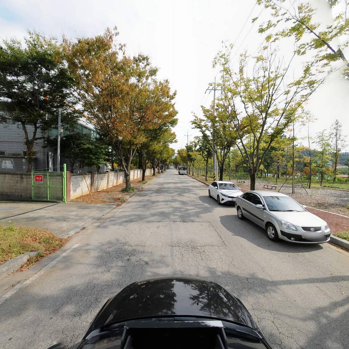프리미엄녹차 썸네일 2