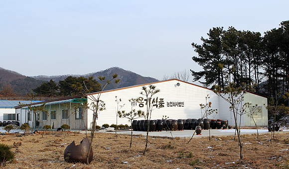 옹기식품농업회사법인 연산대추쌀빵 40EA 썸네일 2