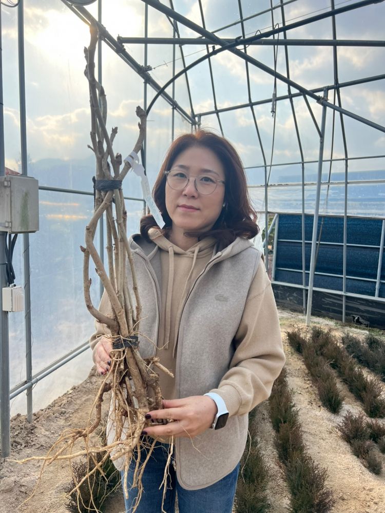 두릅장아찌400g 썸네일 2