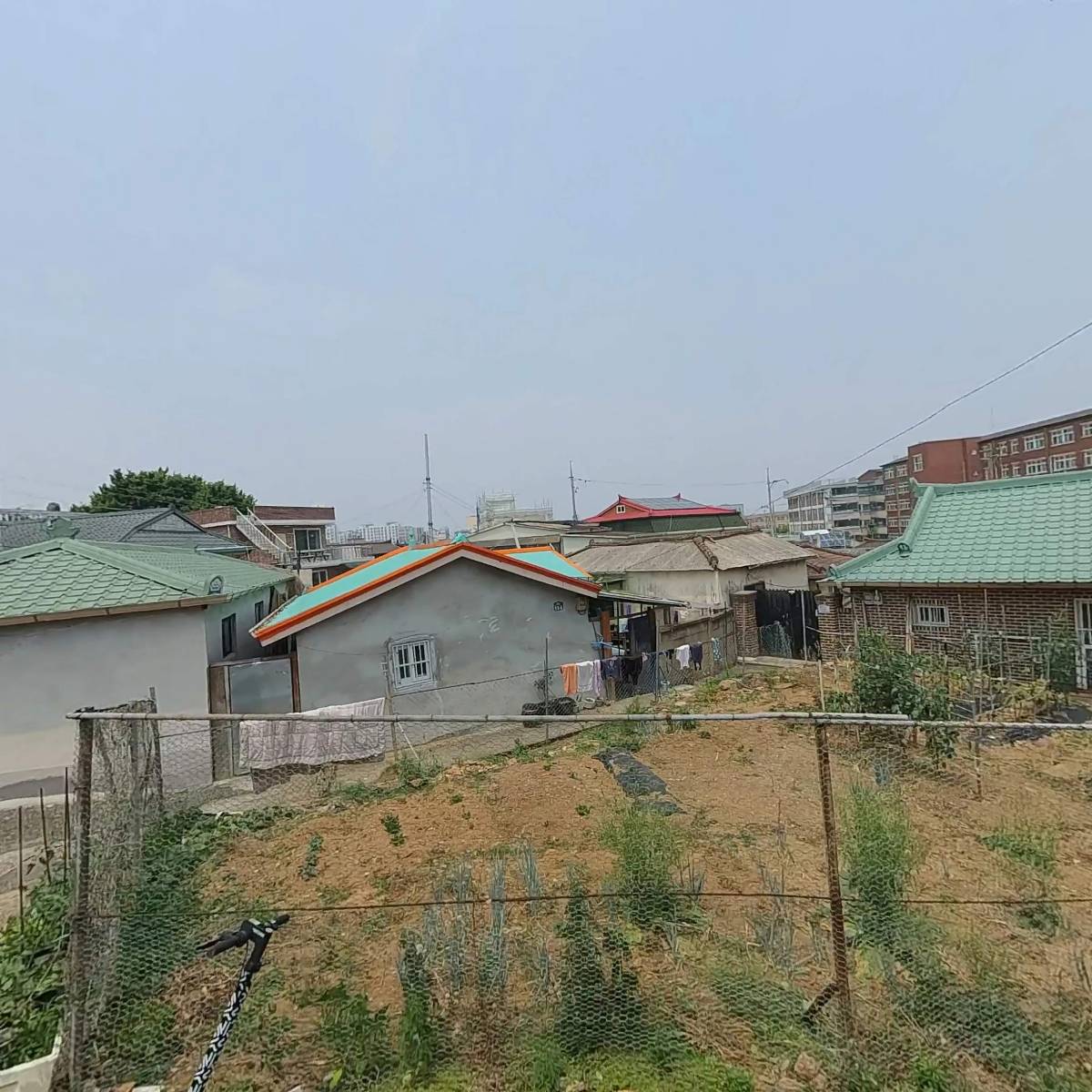 흑영양떡 썸네일 2