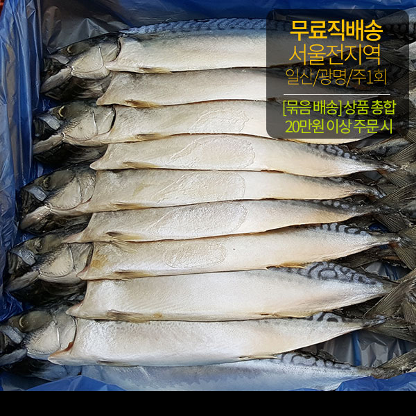노르웨이고등어(1쪽) 썸네일 2