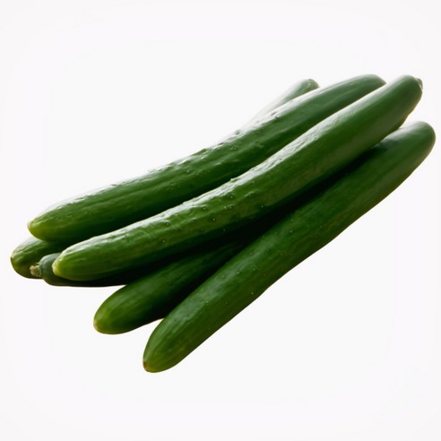 맛터 참외오이4kg 썸네일 3