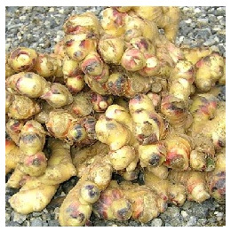서산농특산영농조합법인 다진냉동생강 업소용1kg x 1 썸네일 3