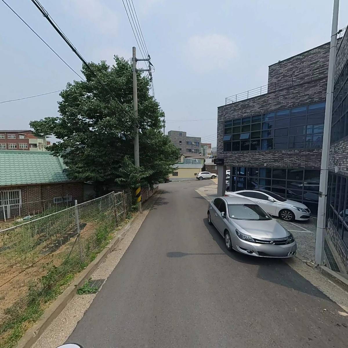 이색쑥말이떡 썸네일 3