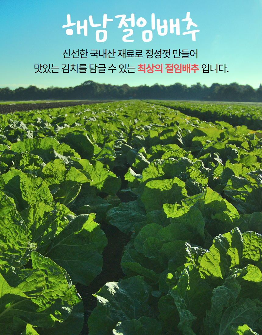 하나향료 콜라607 20kg 썸네일 2
