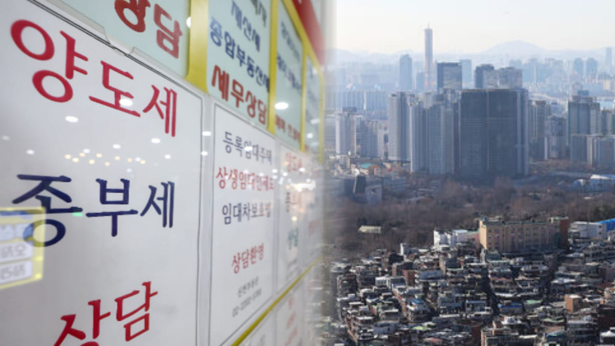 홈살구 썸네일 2