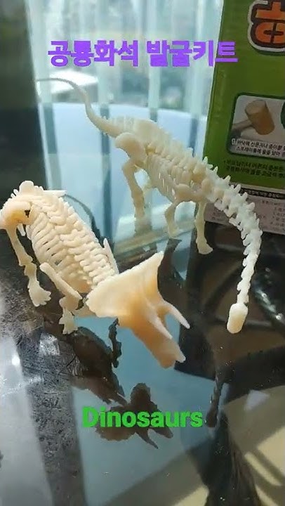 공룡화석발굴 썸네일 3