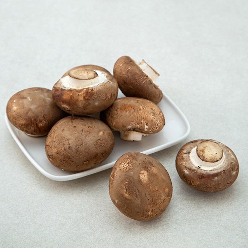 오륙도 양송이 양송이53.5% 800G 썸네일 3