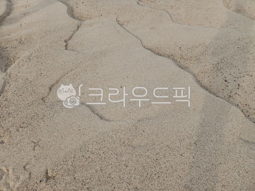 자연강황곡미 썸네일 3