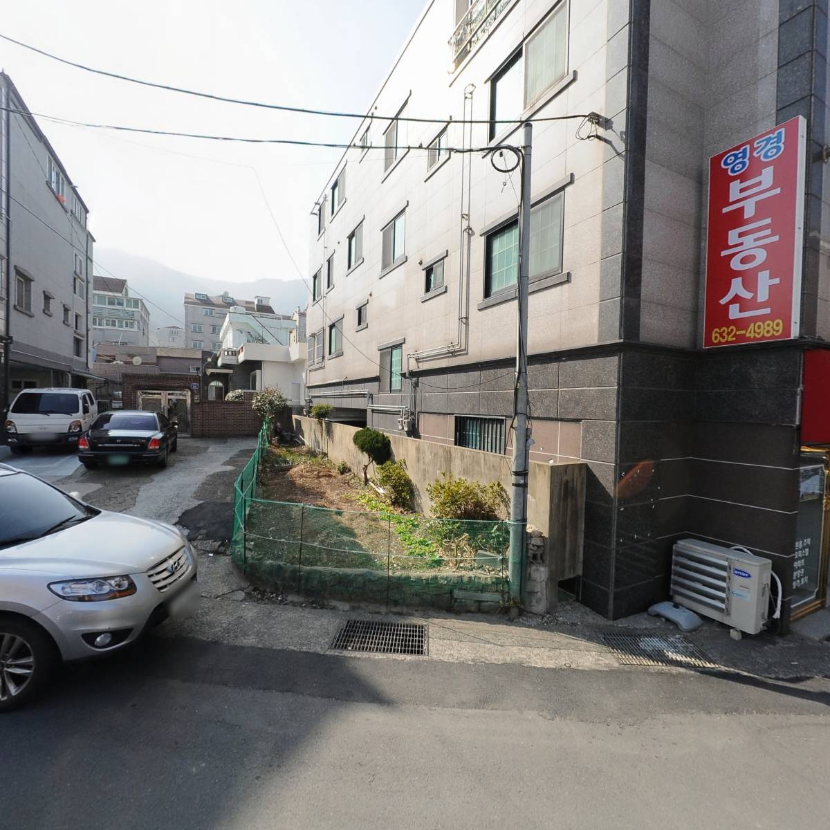 영경]장다리70g 썸네일 2