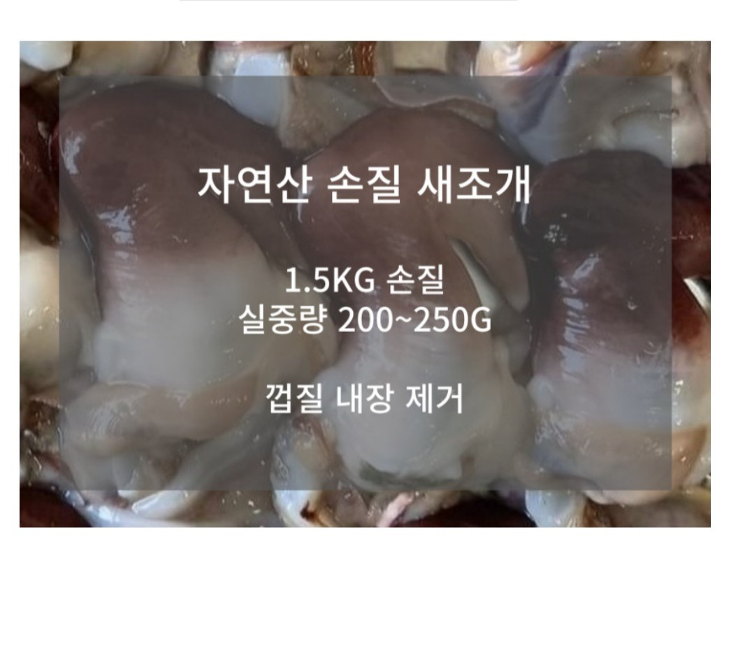 짠가오리 1.5kg 썸네일 3