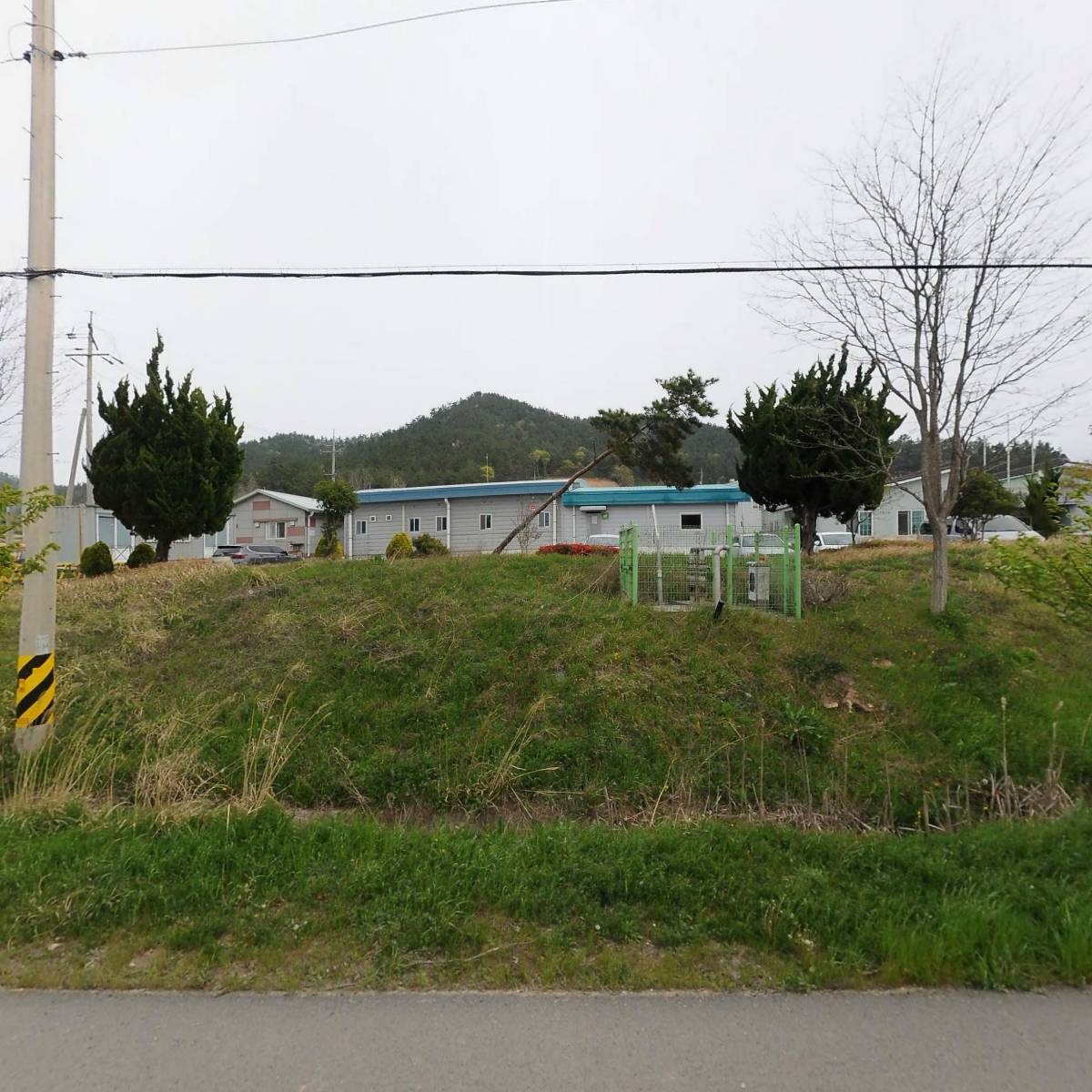 섬진미 5kg 썸네일 2