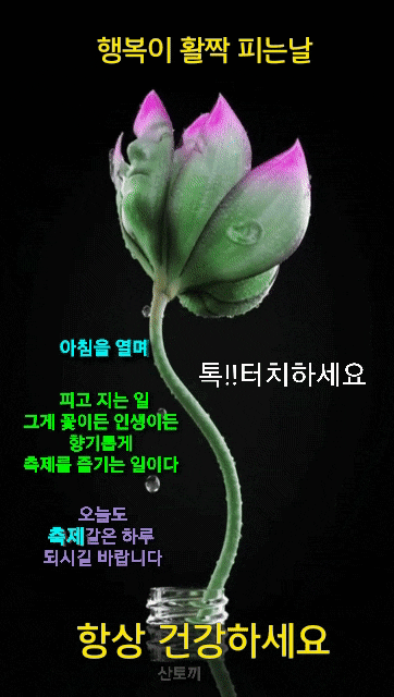 사랑의 처방전 썸네일 3