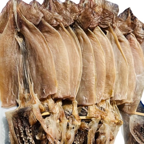 보정식품 생생참진미오징어 600g 썸네일 3